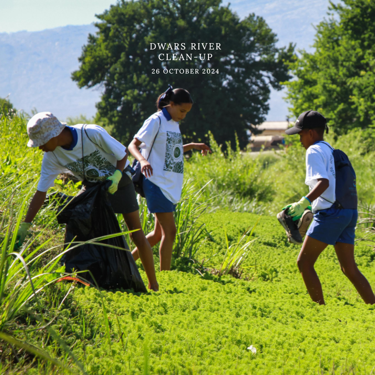 Dwars River Clean-Up: A Community United for Nature