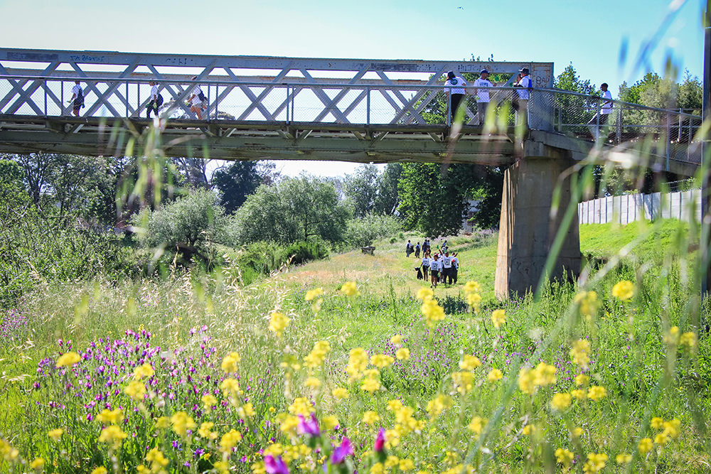 Dwars River Clean-Up: A Community United for Nature