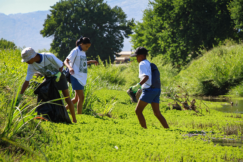 Dwars River Clean-Up: A Community United for Nature