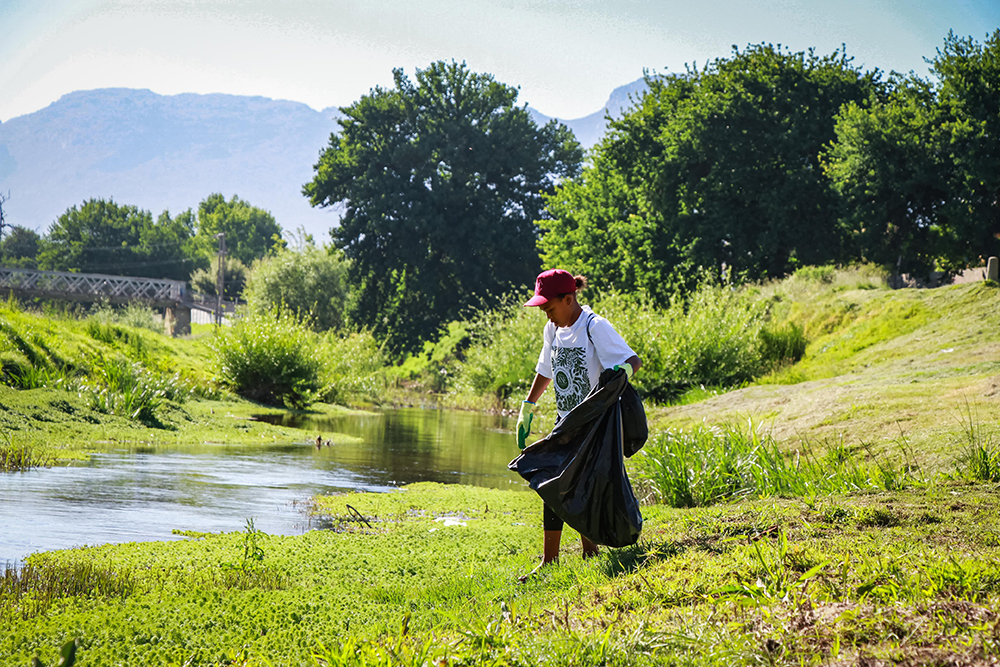 Dwars River Clean-Up: A Community United for Nature